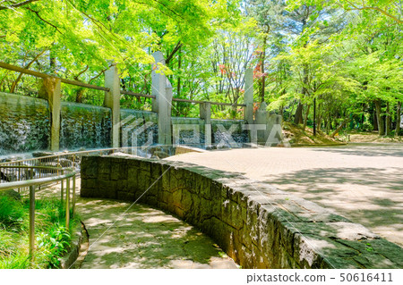 Silkamori no Mori Park 50616411