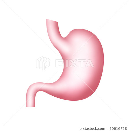 Stomach icon illustration gastric human health anatomy. Stomach organ care 50616738
