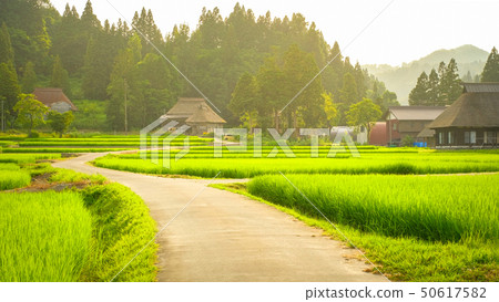 Summer rural landscape (at dusk of Ashinoshima ring village) Summer rural landscape (at dusk of Ashinoshima ring village) 50617582