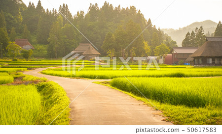 Summer rural landscape (at dusk of Ashinoshima ring village) Summer rural landscape (at dusk of Ashinoshima ring village) 50617583