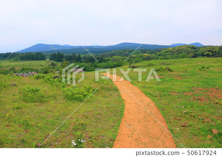 Mechewat森林公路,森林,森林,長廊, Mechewat森林公路,森林,森林,長廊, 50617924