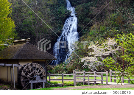 The spring of Nanataki Akita The spring of Nanataki Akita 50618076