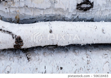 Pile of a birch firewood Pile of a birch firewood 50618483
