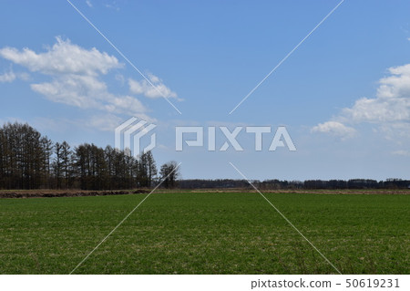Tokachi Plain Tokachi Plain 50619231