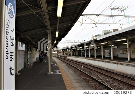 Shibamata Station 50619278