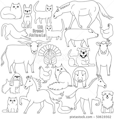 Set of pets and domestic animals 50619302