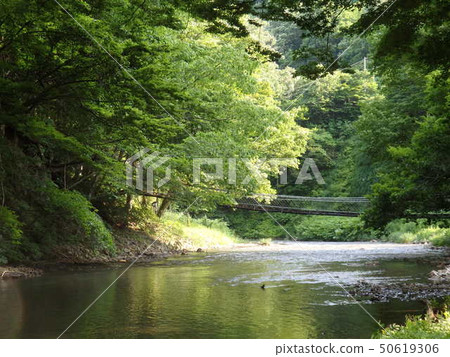 水和綠色 水和綠色 50619306