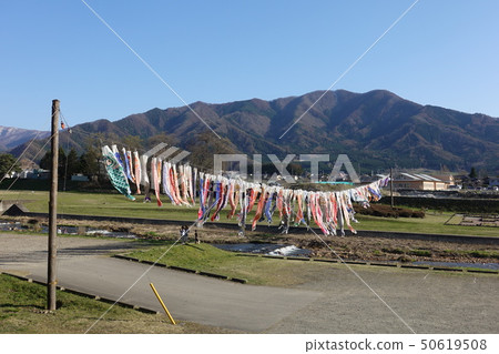 Carp streamer of Yuzawa River Carp streamer of Yuzawa River 50619508