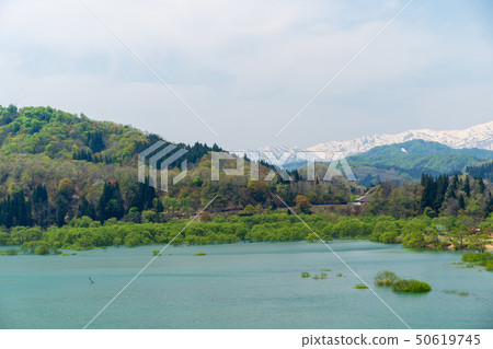 Lake Shirakawa flooded forest Yamagata Ii Toyo when full of water 50619745