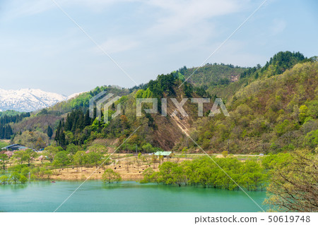 Lake Shirakawa flooded forest Yamagata Ii Toyo when full of water 50619748