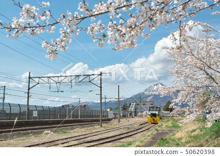 Cherry blossoming Fukushima-Kawagi Station Cherry blossoming Fukushima-Kawagi Station 50620398