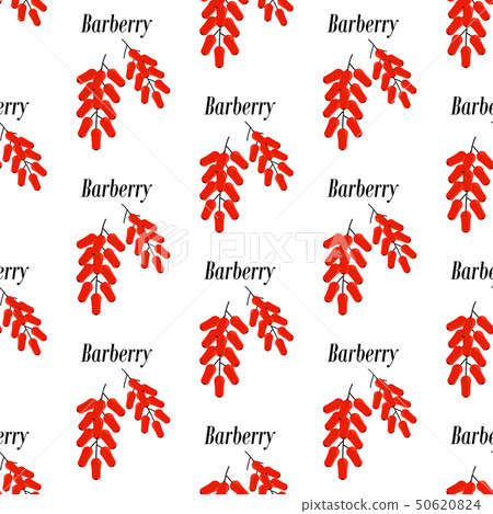 Barberry seamless pattern - Stock Illustration [50620824] - PIXTA