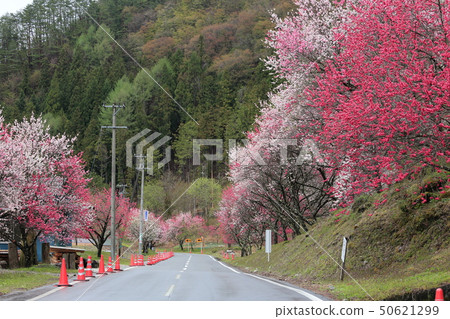 Tsukikawa Onsen Hanatomo no Sato Tsukikawa Onsen Hanatomo no Sato 50621299
