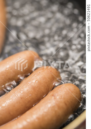 [Wiener Boyle] 50621491