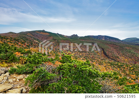 Adachi Adachi of autumnal leaves Adachi Adachi of autumnal leaves 50621595