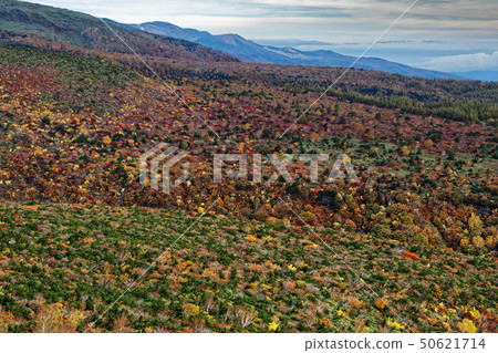 從Adat Tara Yamakoshi線看的秋葉和Azumayama地區 50621714