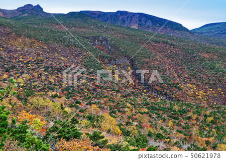 Adatara mountain ridge line of colored leaves 50621978