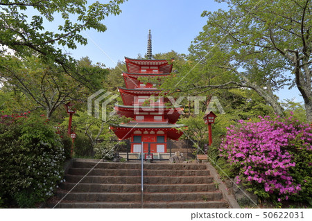 新倉富士淺間神社 50622031