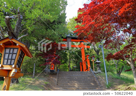 新倉富士淺間神社 新倉富士淺間神社 50622040