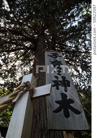 Niikura Fuji Asama神社幼兒上帝 50622097