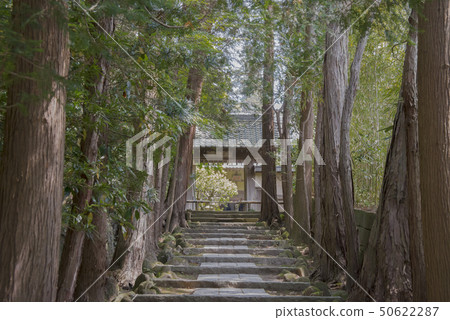 Kenchoji Temple Tohso Shoin-in(鎌倉市山之內) Kenchoji Temple Tohso Shoin-in(鎌倉市山之內) 50622287