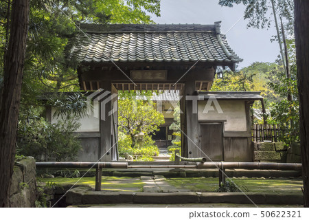 Kenchoji Temple Tohso Shoin-in (Kamakura City Yamanouchi) Kenchoji Temple Tohso Shoin-in (Kamakura City Yamanouchi) 50622321