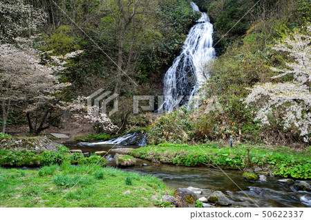 The spring of Nanataki Akita The spring of Nanataki Akita 50622337