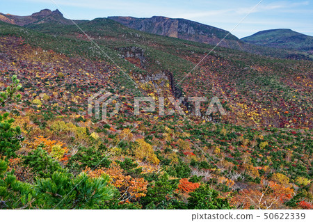 Adatara色的葉子山土坎線 Adatara色的葉子山土坎線 50622339