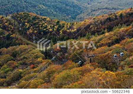 Autumn leaves and ropeway in the middle of Adatara mountain 50622346