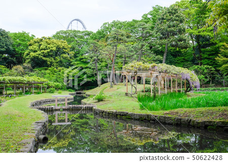 小石川後樂園 小石川後樂園 50622428