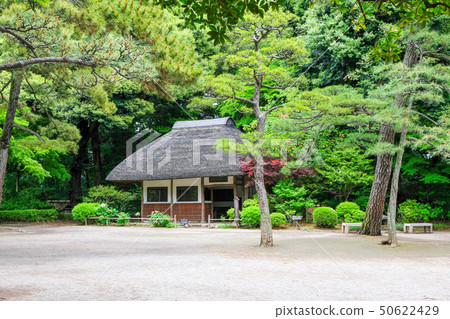 小石川後樂園風景 小石川後樂園風景 50622429