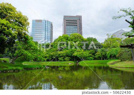小石川後樂園 小石川後樂園 50622430