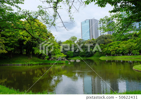小石川後樂園 小石川後樂園 50622431