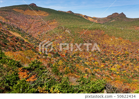Adachi Adachi of autumnal leaves Adachi Adachi of autumnal leaves 50622434