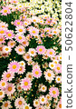 Margaret 50622804