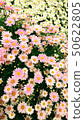 Margaret 50622805