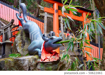 Fushimi-Inari Eye Power Company (Kyoto) Fushimi-Inari Eye Power Company (Kyoto) 50622861