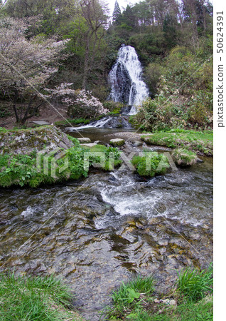 The spring of Nanataki Akita 50624391