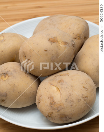 potato  50624589