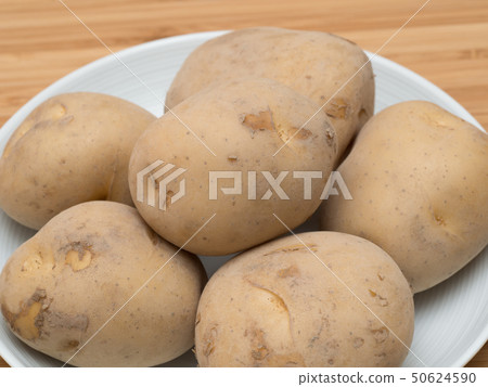 potato  50624590