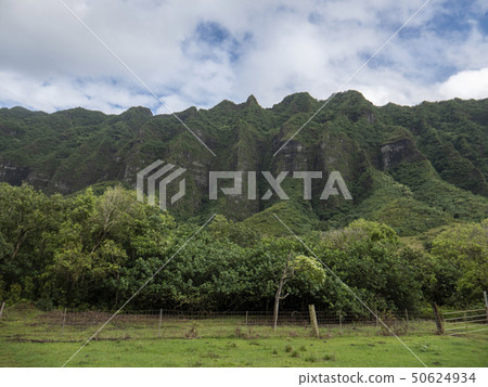 Hawaii Kualoa Lunch Hawaii Kualoa Lunch 50624934