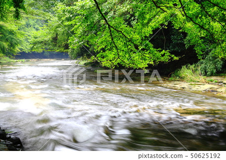 Green glowing Yoro Valley 50625192