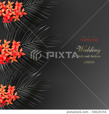 Tropical black leaves and exotic red flower 50626358