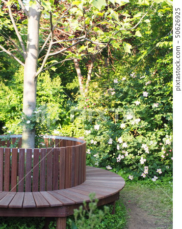 Fresh green bench Fresh green bench 50626925
