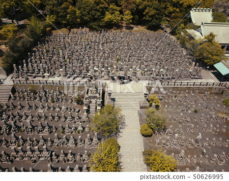 The view from the sky over Nanjo Park 50626995