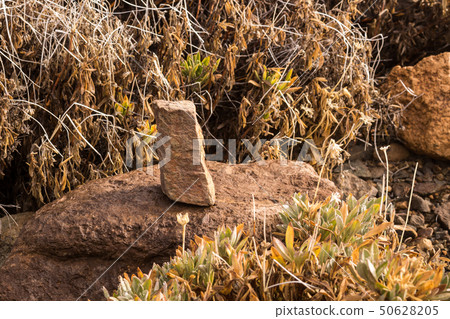 Lava stone in a sunshine, Tenerife, Spain Lava stone in a sunshine, Tenerife, Spain 50628205