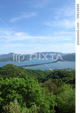 從Seiso Temple天文台看到的天橋立 50628886