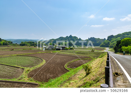 Tamasuusa的風景 50629166