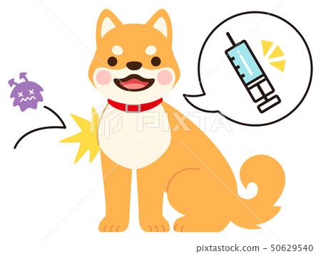 注射氣球和排斥病毒的狗的插圖(接種疫苗的圖像) 注射氣球和排斥病毒的狗的插圖(接種疫苗的圖像) 50629540