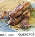 深炸majak（有明海） 50629706